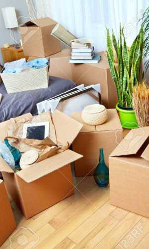 residential Professional Movers moving movers foreman